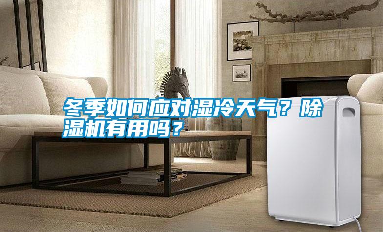 冬季如何應(yīng)對濕冷天氣?除濕機(jī)有用嗎?