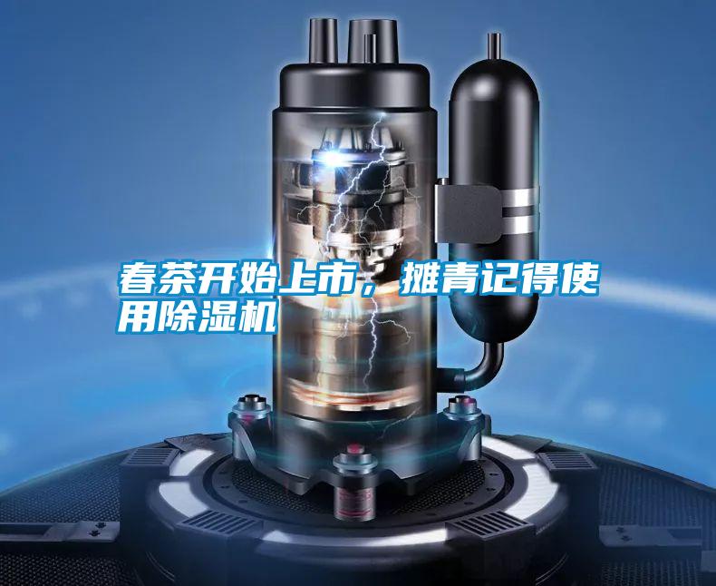 春茶開始上市，攤青記得使用除濕機