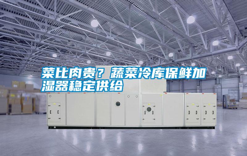 菜比肉貴？蔬菜冷庫保鮮加濕器穩定供給