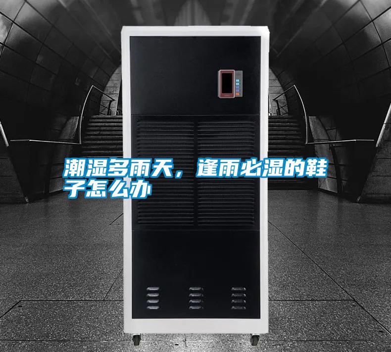 潮濕多雨天,逢雨必濕的鞋子怎么辦