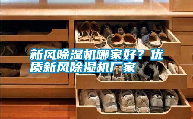新風(fēng)除濕機(jī)哪家好??jī)?yōu)質(zhì)新風(fēng)除濕機(jī)廠家