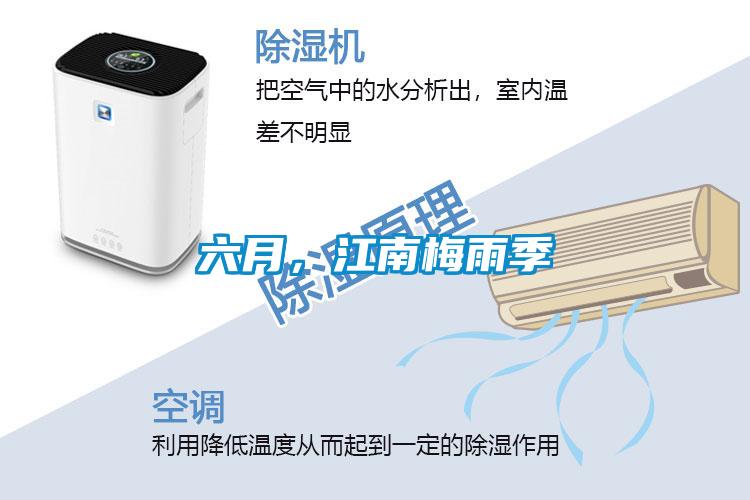 六月,江南梅雨季