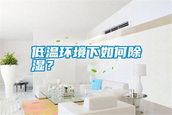 低溫環(huán)境下如何除濕?