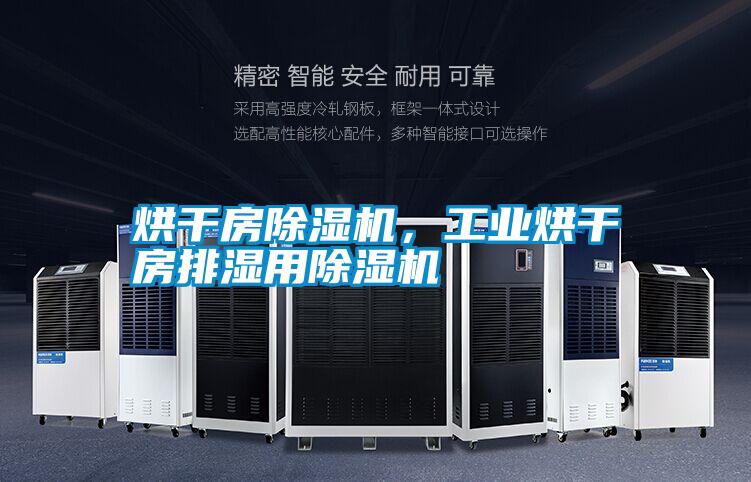 烘干房除濕機,工業烘干房排濕用除濕機