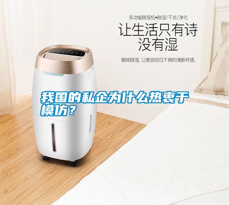 我國的私企為什么熱衷于模仿?