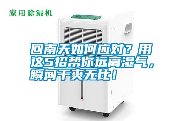 回南天如何應對?用這5招幫你遠離濕氣,瞬間干爽無比!