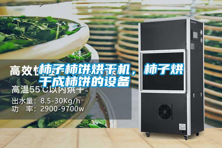 柿子柿餅烘干機(jī),柿子烘干成柿餅的設(shè)備