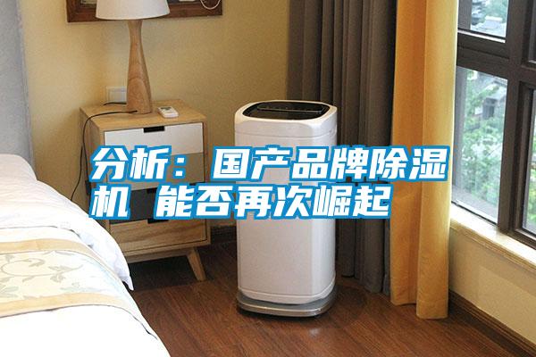 分析:國產(chǎn)品牌除濕機 能否再次崛起