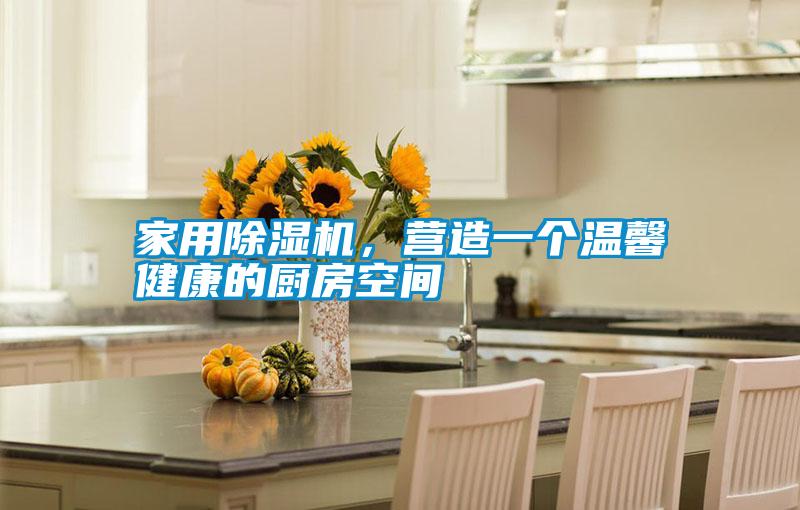 家用除濕機,營造一個溫馨健康的廚房空間