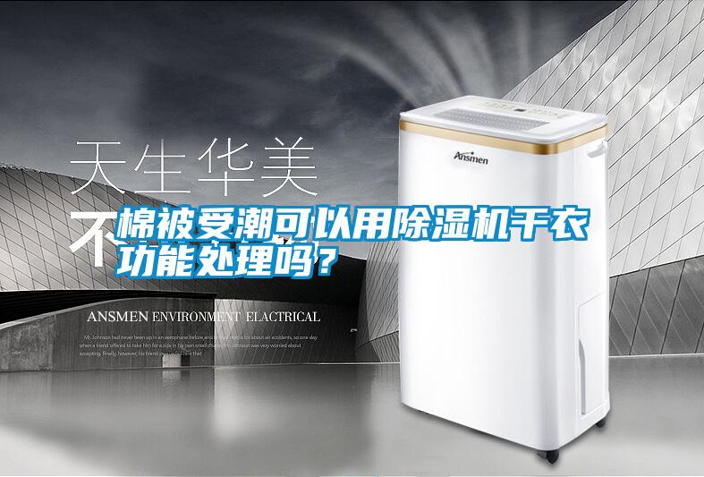 棉被受潮可以用除濕機(jī)干衣功能處理嗎?