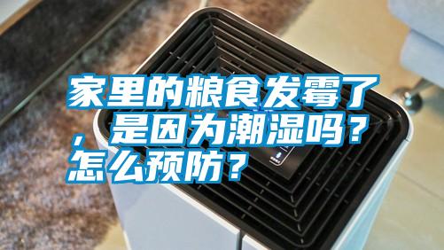家里的糧食發霉了，是因為潮濕嗎？怎么預防？