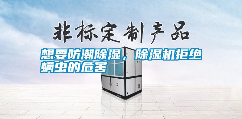 想要防潮除濕,除濕機(jī)拒絕螨蟲的危害