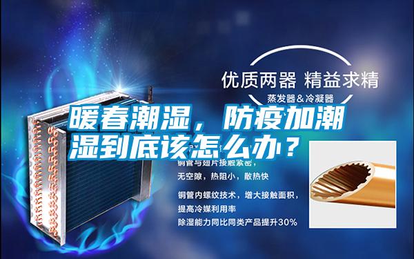 暖春潮濕，防疫加潮濕到底該怎么辦？