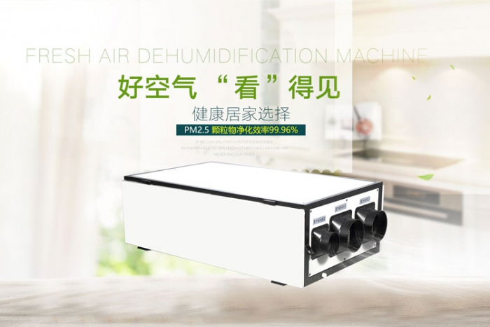 家用除濕機減少夏季悶熱,防止疾病