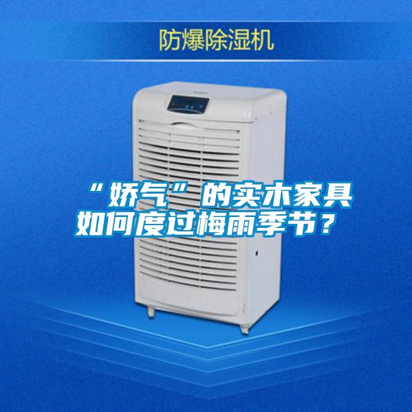 “嬌氣”的實(shí)木家具如何度過(guò)梅雨季節(jié)？