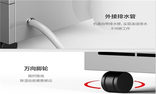 梅雨季節買什么鮮花比較好保存?