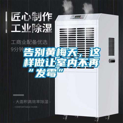 告別黃梅天，這樣做讓室內不再“發霉”