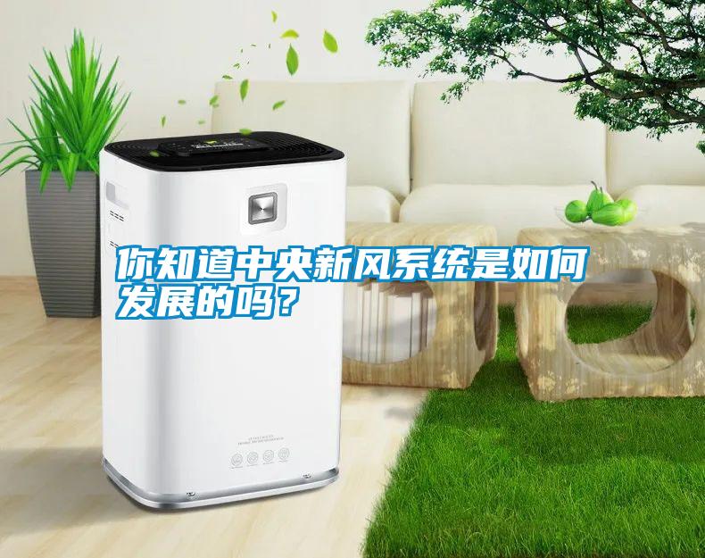 你知道中央新風系統是如何發展的嗎?