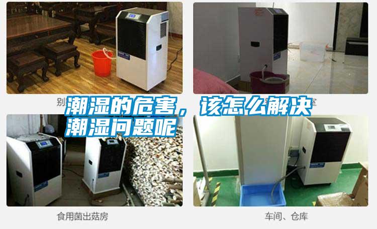 潮濕的危害，該怎么解決潮濕問(wèn)題呢