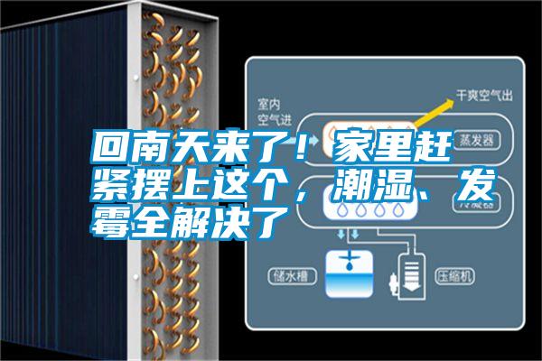 回南天來了!家里趕緊擺上這個,潮濕、發霉全解決了