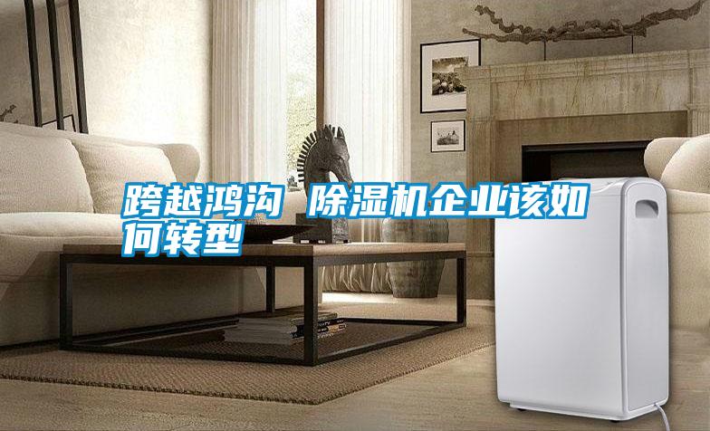 跨越鴻溝 除濕機企業該如何轉型
