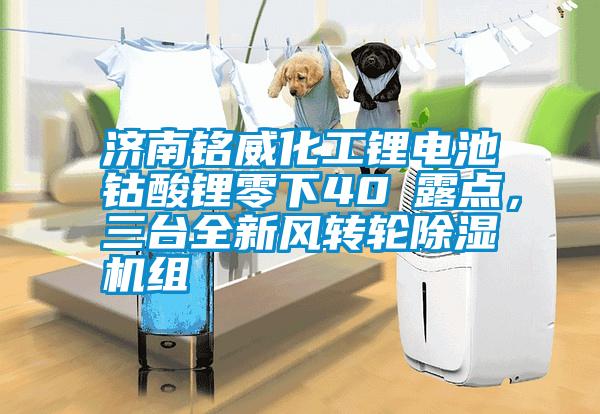 濟南銘威化工鋰電池鈷酸鋰零下40℃露點，三臺全新風轉輪除濕機組