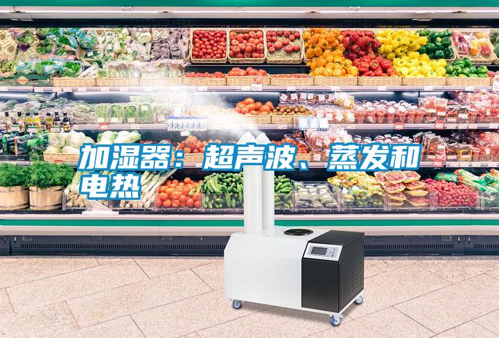 加濕器:超聲波、蒸發和電熱