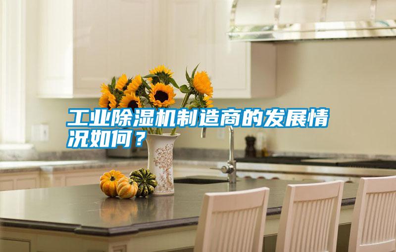 工業(yè)除濕機制造商的發(fā)展情況如何？