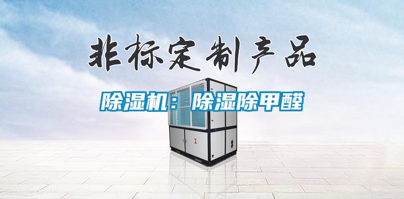 除濕機(jī):除濕除甲醛