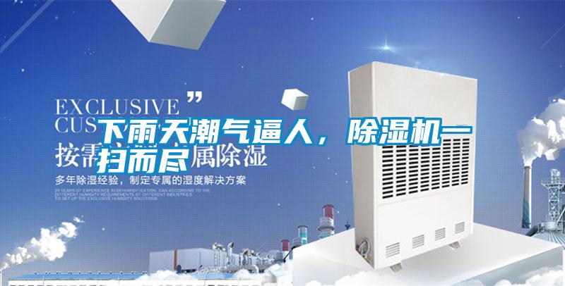 下雨天潮氣逼人,除濕機(jī)一掃而盡