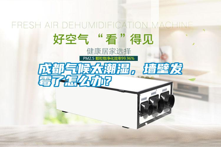 成都氣候太潮濕，墻壁發霉了怎么辦？