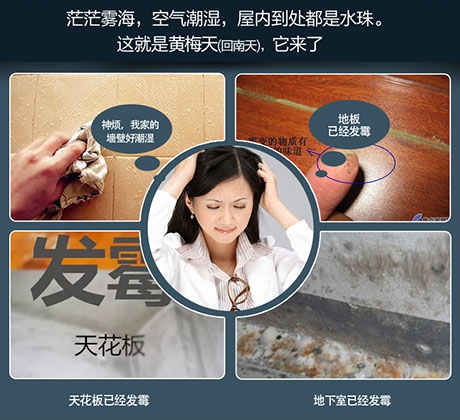 梅雨季將至，除濕機了解一下！