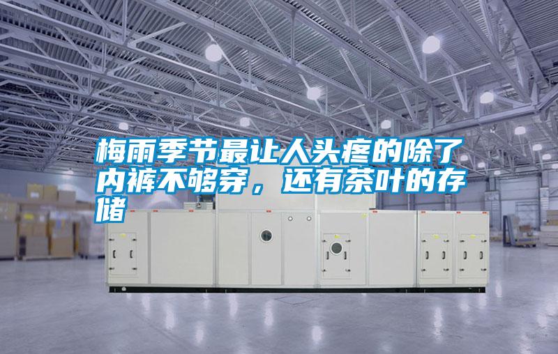 梅雨季節最讓人頭疼的除了內褲不夠穿,還有茶葉的存儲