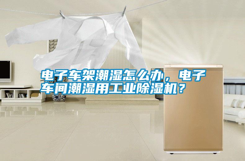 電子車架潮濕怎么辦，電子車間潮濕用工業除濕機？