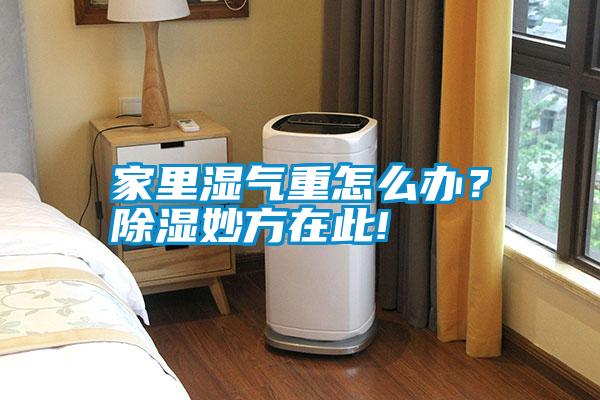 家里濕氣重怎么辦？除濕妙方在此!
