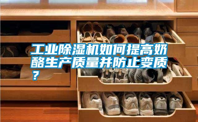工業(yè)除濕機如何提高奶酪生產質量并防止變質?