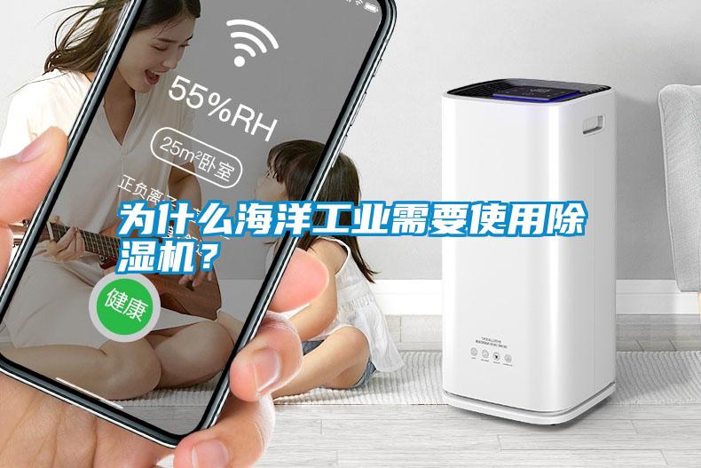 為什么海洋工業(yè)需要使用除濕機?