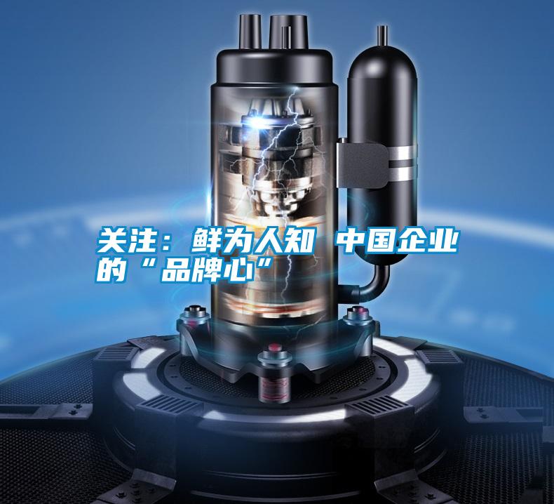 關注:鮮為人知 中國企業的“品牌心”