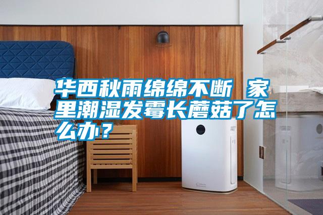 華西秋雨綿綿不斷 家里潮濕發霉長蘑菇了怎么辦?