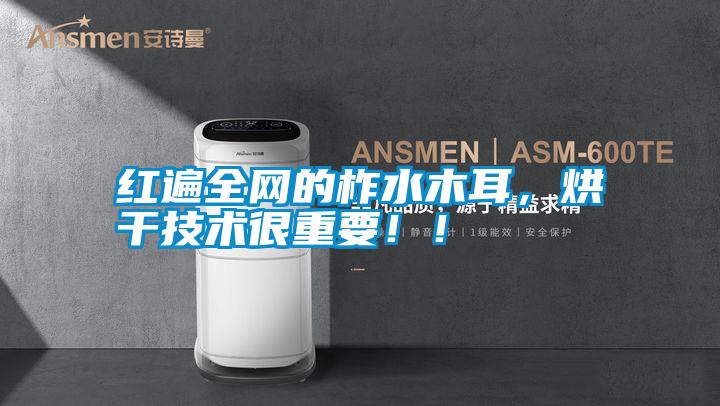 紅遍全網的柞水木耳,烘干技術很重要!!