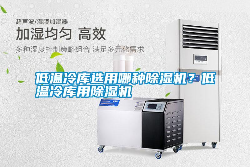 低溫冷庫選用哪種除濕機?低溫冷庫用除濕機
