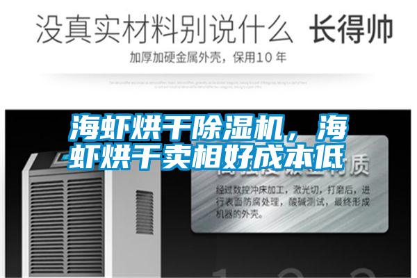 海蝦烘干除濕機，海蝦烘干賣相好成本低