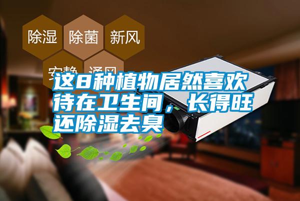 這8種植物居然喜歡待在衛(wèi)生間，長(zhǎng)得旺還除濕去臭