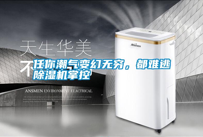 任你潮氣變幻無(wú)窮，都難逃除濕機(jī)掌控