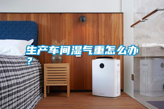 生產車間濕氣重怎么辦?