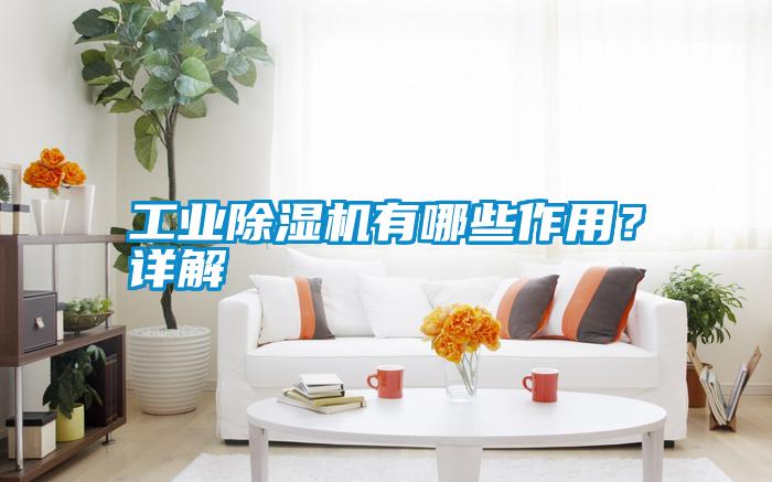 工業(yè)除濕機有哪些作用?詳解