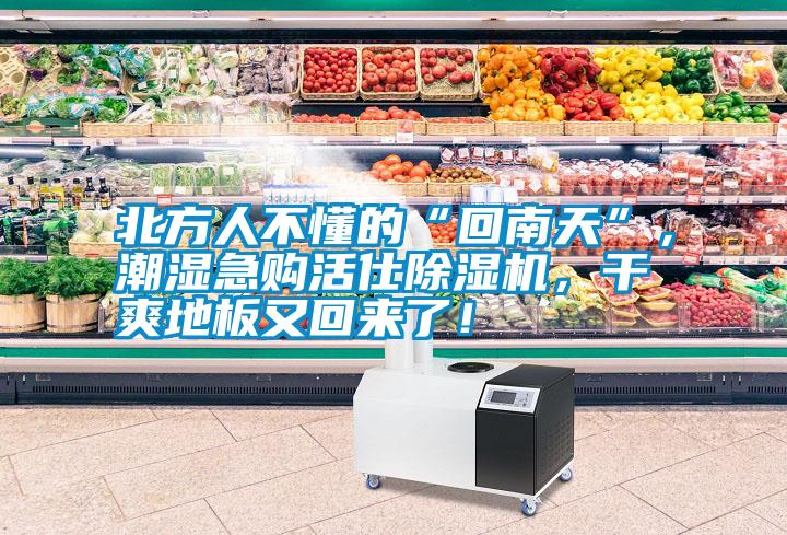北方人不懂的“回南天”,潮濕急購(gòu)活仕除濕機(jī),干爽地板又回來(lái)了!