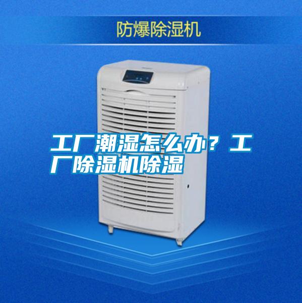工廠潮濕怎么辦？工廠除濕機除濕