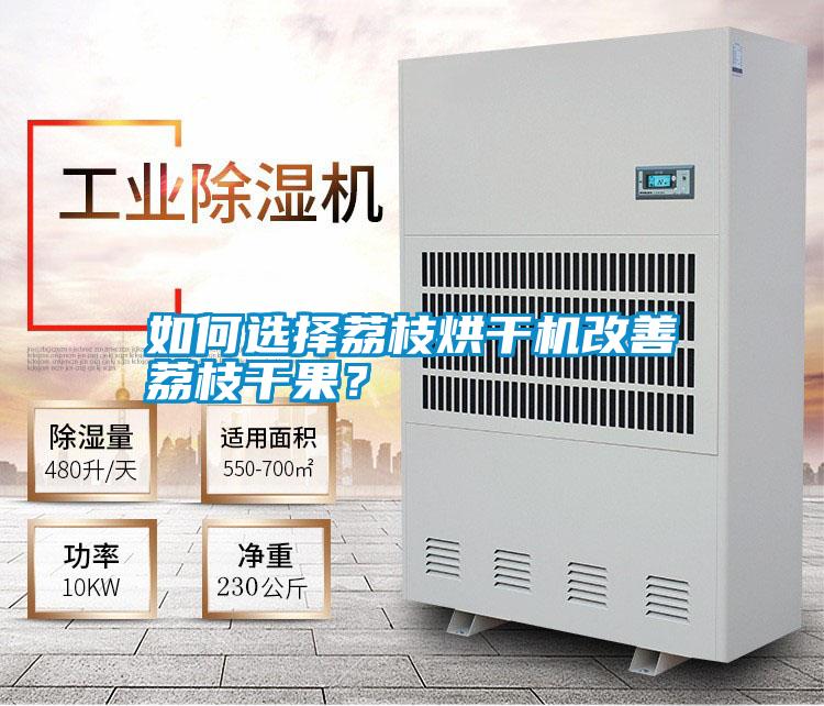 如何選擇荔枝烘干機改善荔枝干果?