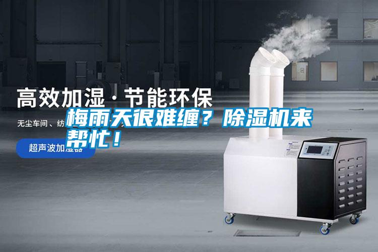 梅雨天很難纏?除濕機(jī)來(lái)幫忙!